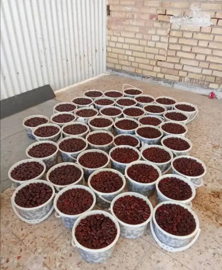 خرما|حراج|تهران, مولوی|دیوار