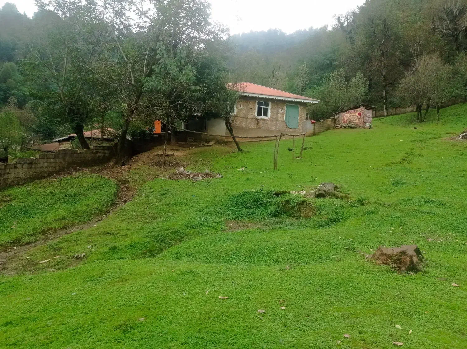 زمین مسکونی پلاک اول جنگل  ماسال|فروش زمین و ملک کلنگی|صومعه‌سرا, |دیوار