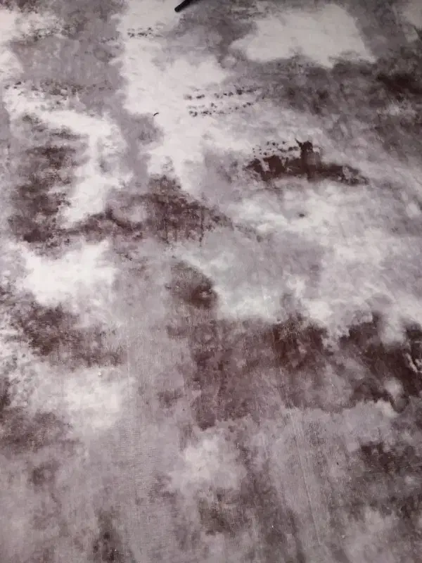 دو عدد گلیم فرش|گلیم، جاجیم، گبه|تهران, استخر|دیوار