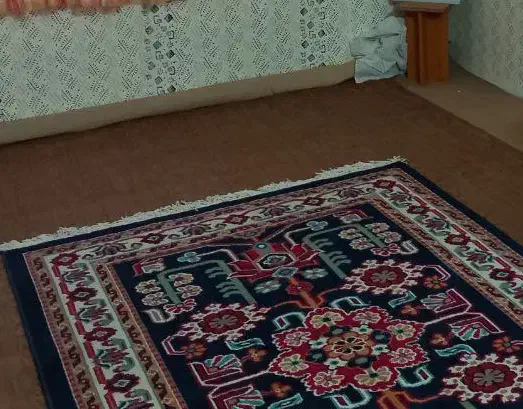 چند فرش یک طرح|فرش|مشهد, الهیه|دیوار