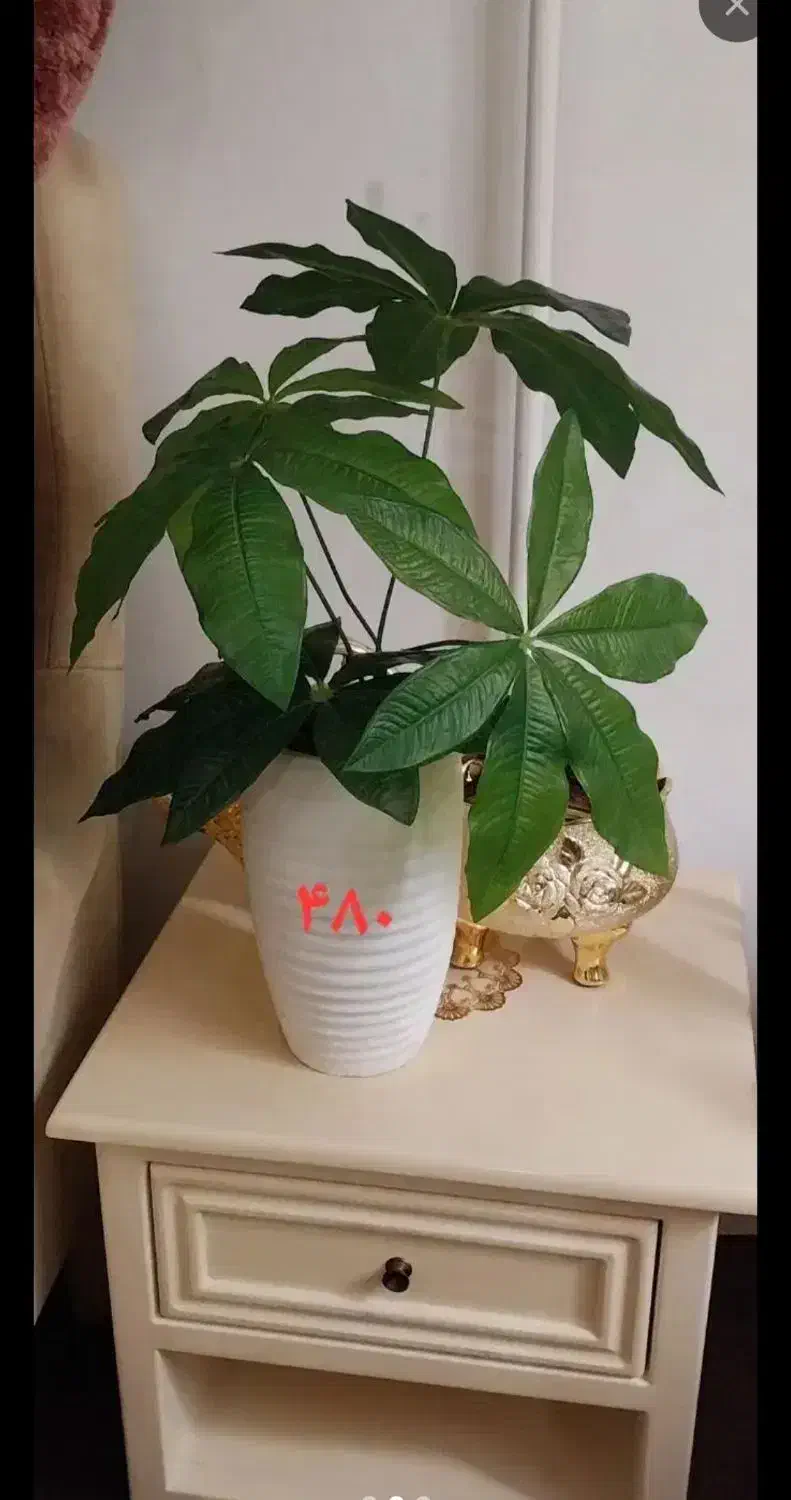 گل مصنوعی|گل مصنوعی|رشت, جهاد|دیوار