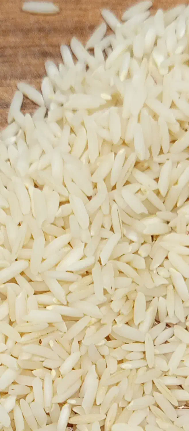 برنج هاشمی درجه یک گیلان|خوردنی و آشامیدنی|تهران, مروارید شهر|دیوار