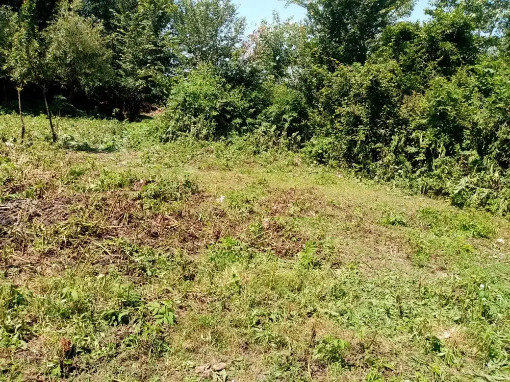 ۷۰۰متر * لولمان/چهارده * زیر قیمت/شرایطی|فروش زمین و ملک کلنگی|آستانه اشرفیه, |دیوار