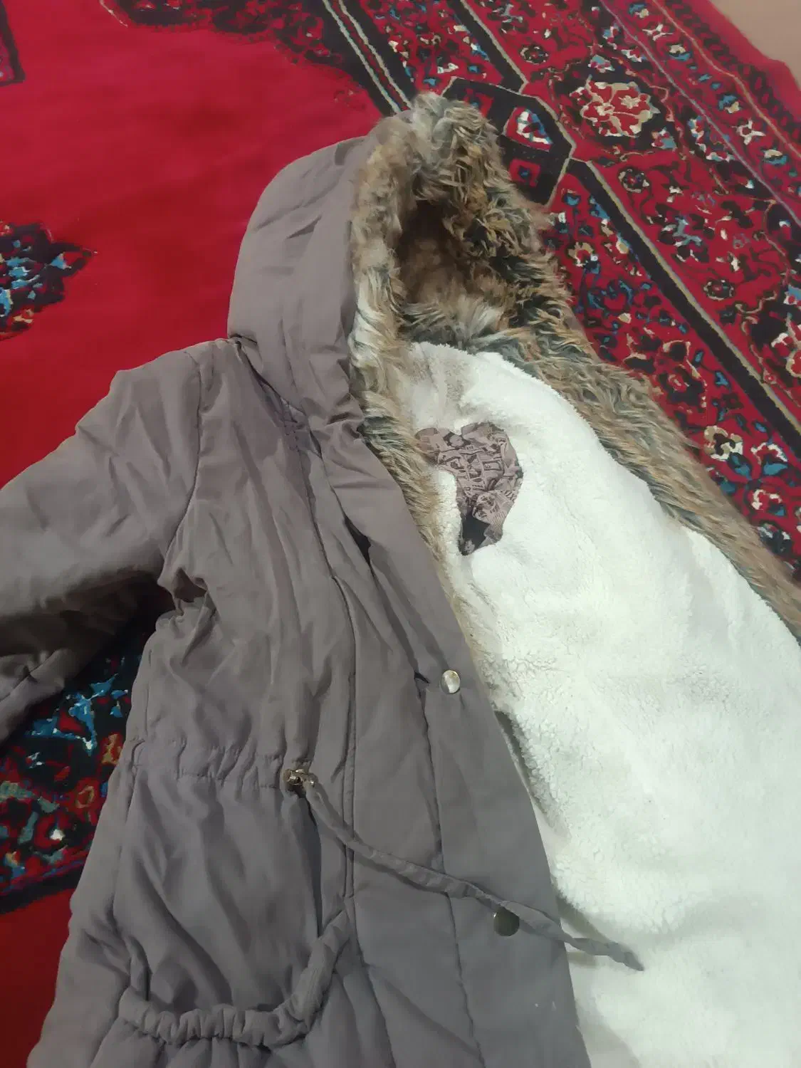 کاپشن زنانه|لباس|پیرانشهر, |دیوار