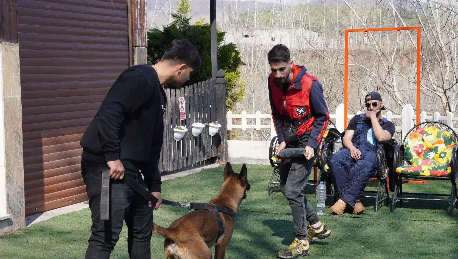 مربی سگ های خانواده و کار|خدمات آموزشی|گرگان, |دیوار