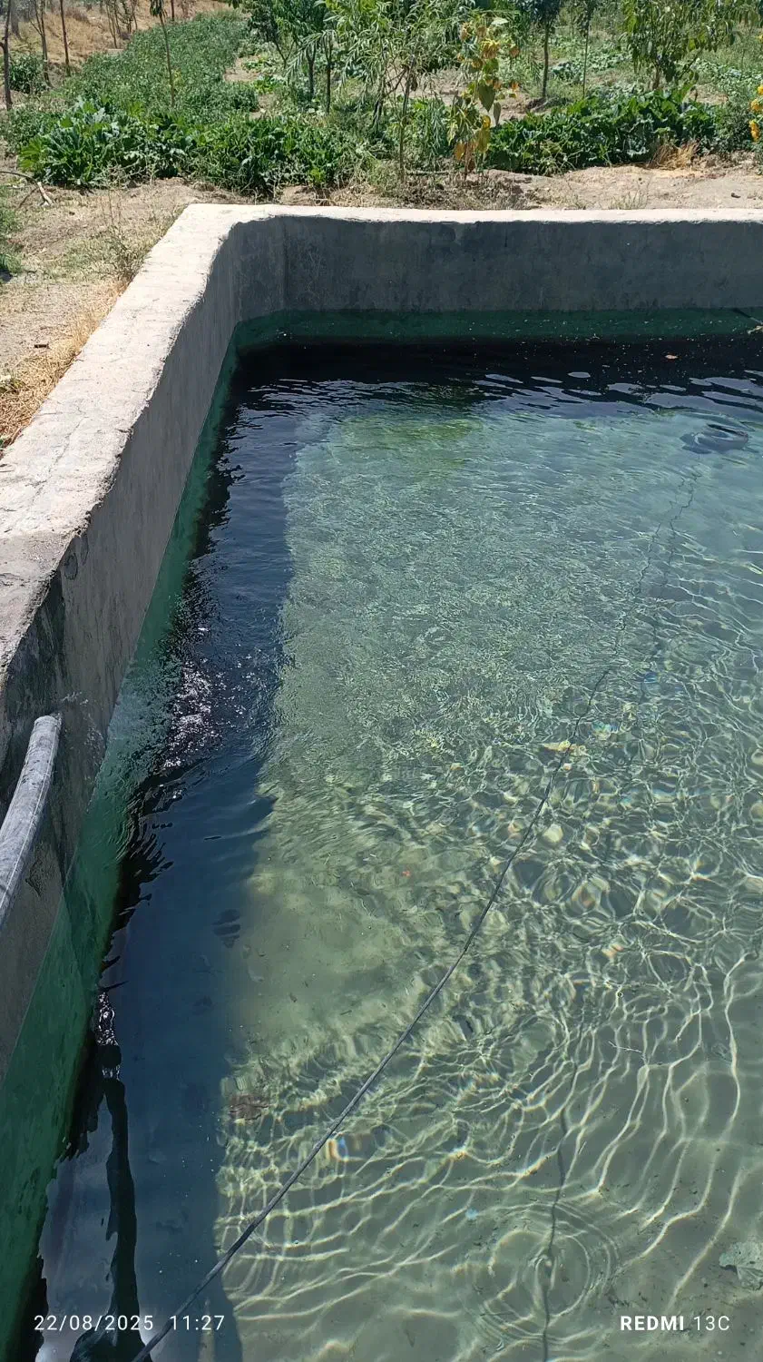 باغ اماده با مکان ویژه|فروش خانه و ویلا|فرمهین, |دیوار