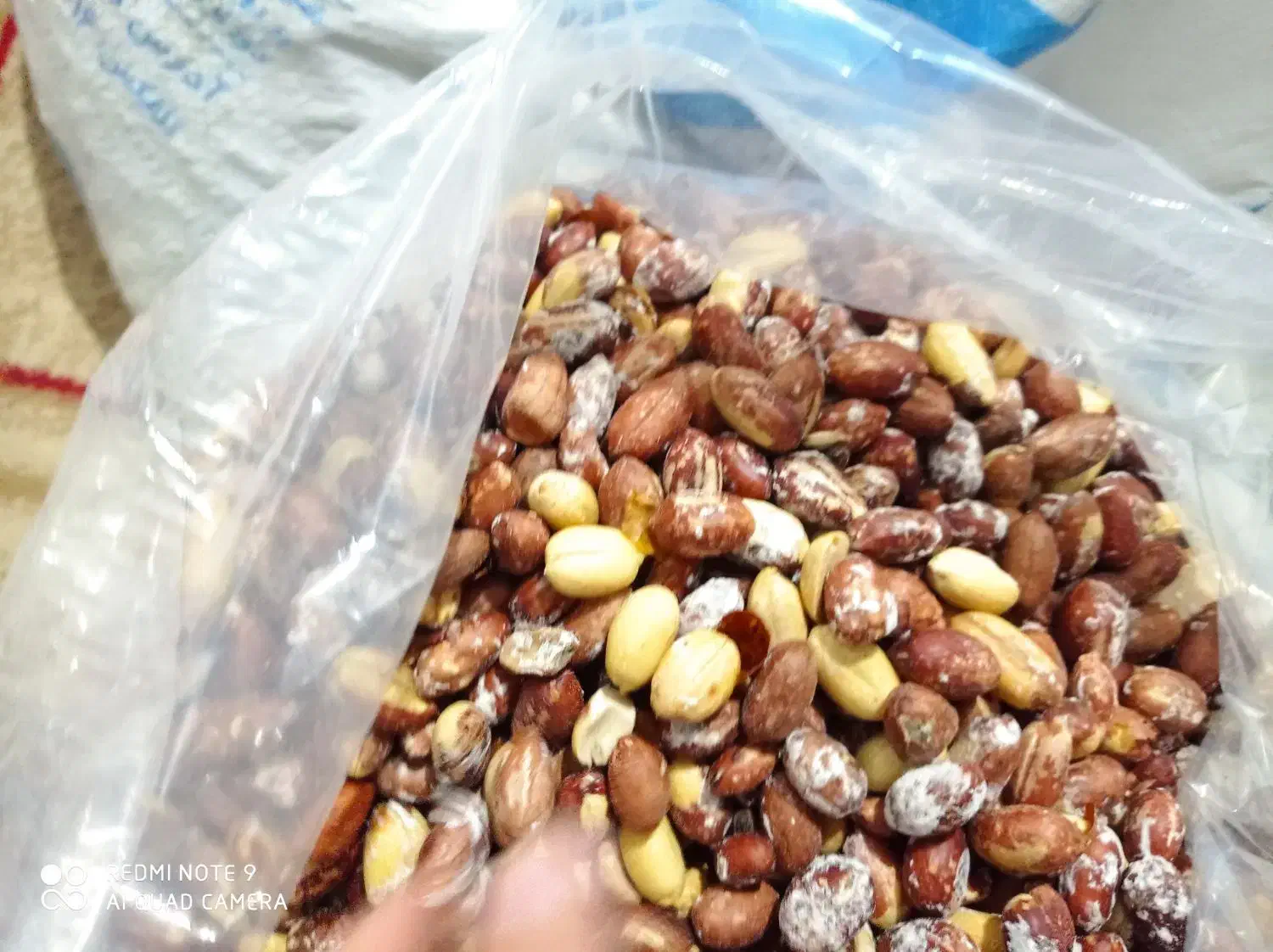 بادام زمینی محلی|خوردنی و آشامیدنی|مینودشت, |دیوار