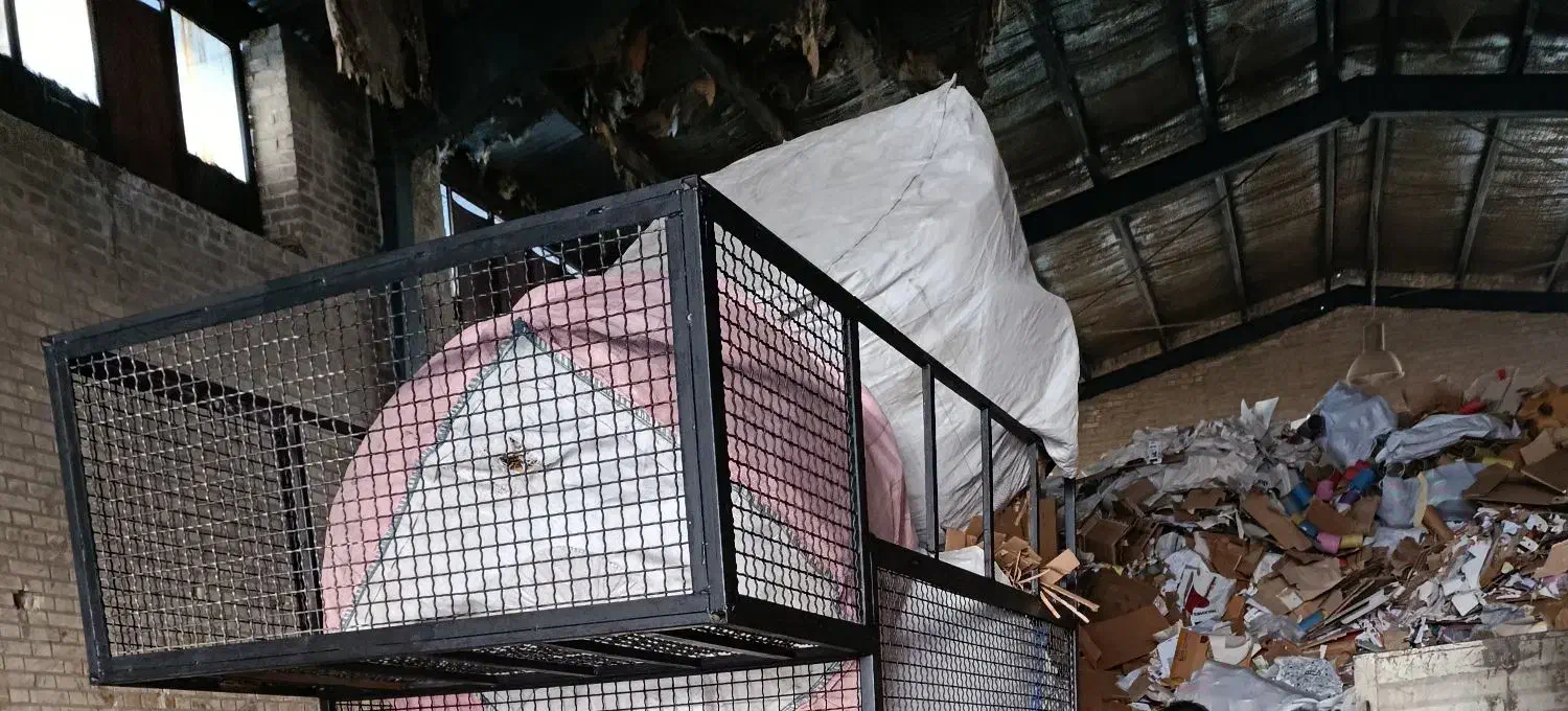 خریدار کارتن|خدمات پیشه و مهارت|بوئین زهرا, |دیوار