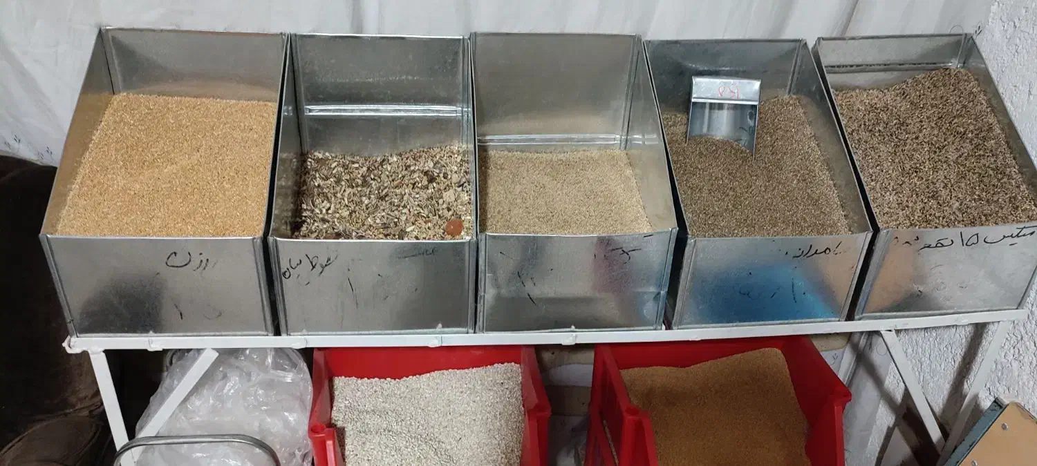 مغازه دان وپرنده فروشی ایوان|لوازم جانبی حیوانات|ایوان, |دیوار