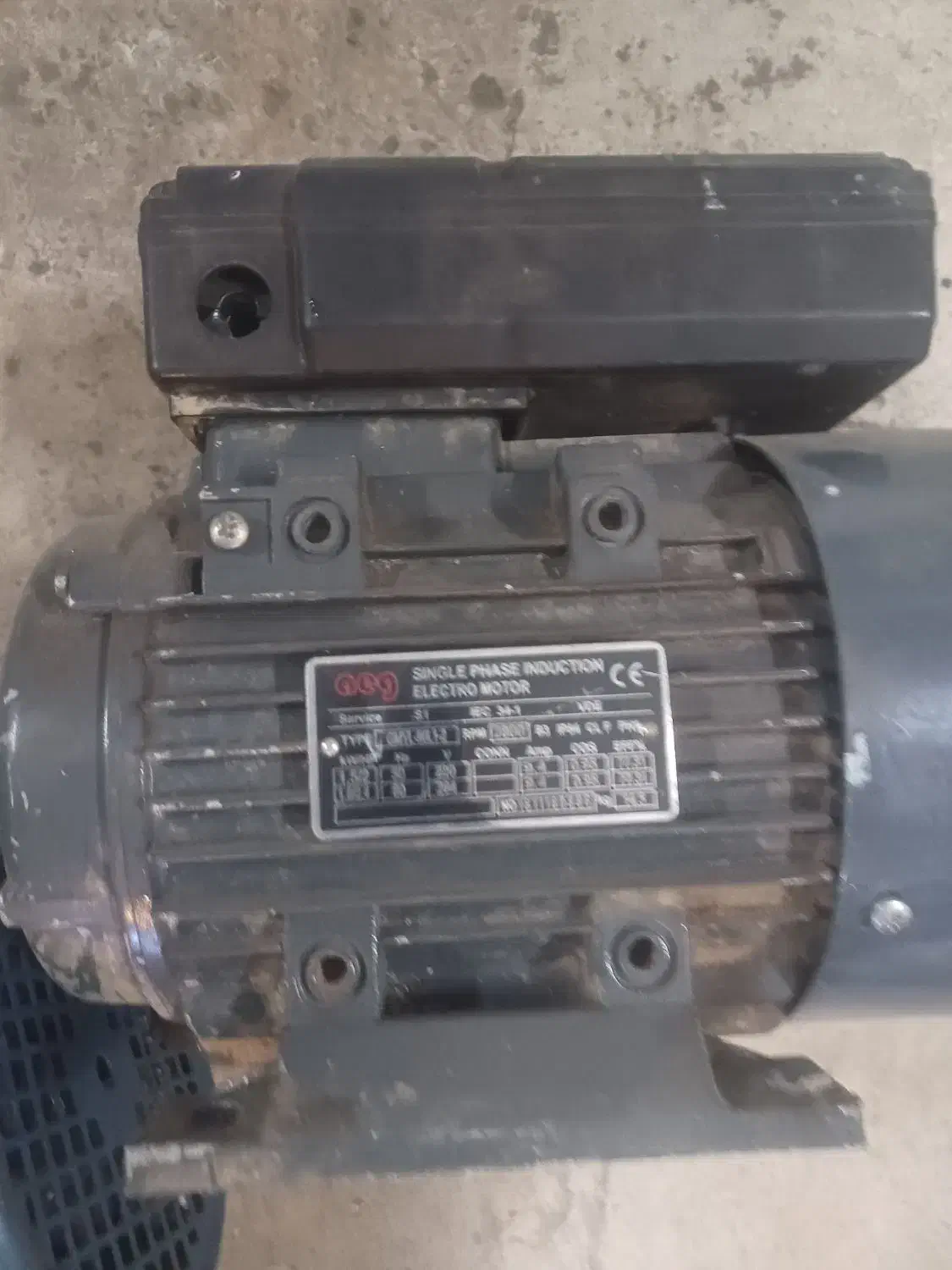 کبوتر|ابزارآلات|قم, وادی السلام|دیوار