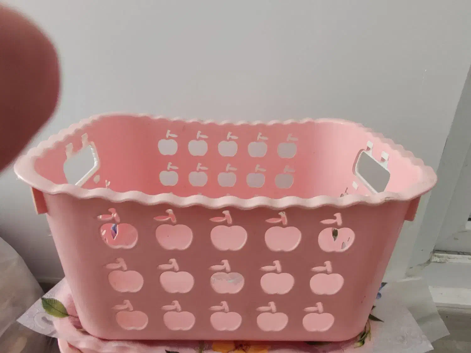 سبد میوه|آب‌چکان و نظم‌دهنده ظروف|قم, پردیسان|دیوار