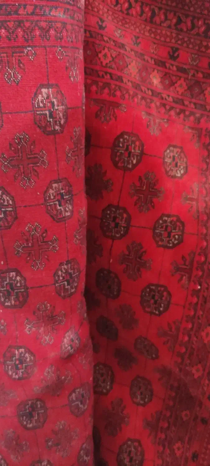 فرش دستباف|فرش|زاهدان, |دیوار