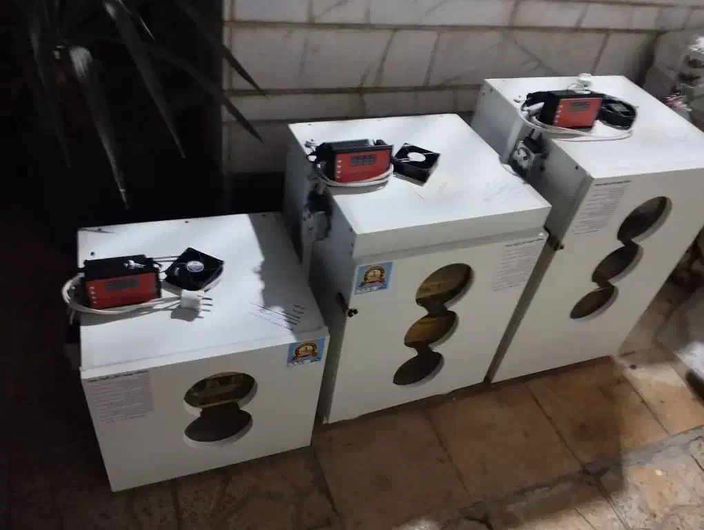 سازنده دستگاه جوجه کشی ارسالی از شیراز|لوازم جانبی حیوانات|مشهد, چهارباغ|دیوار