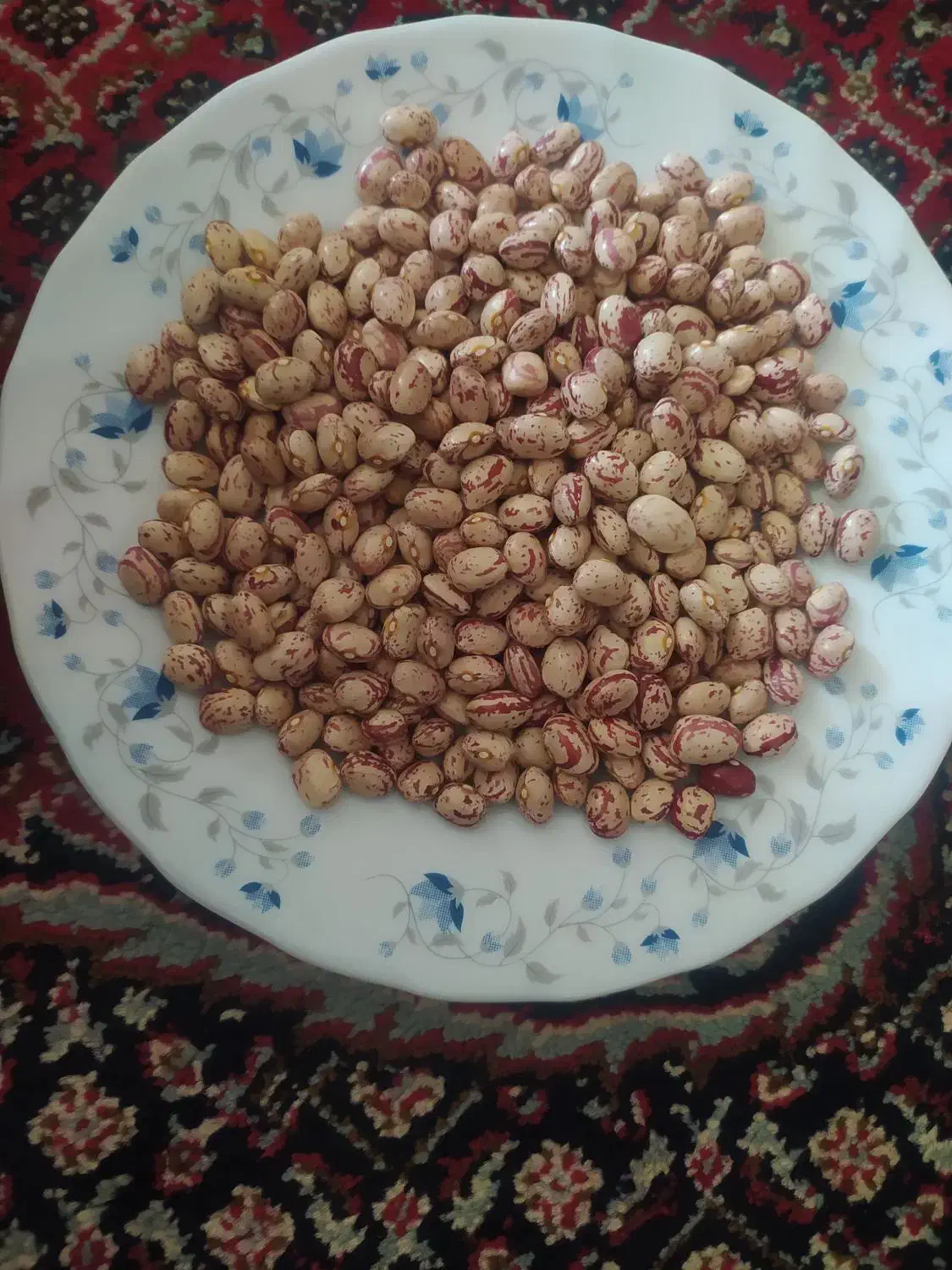لوبیاچیتی وکشمش|خوردنی و آشامیدنی|صائین قلعه, |دیوار