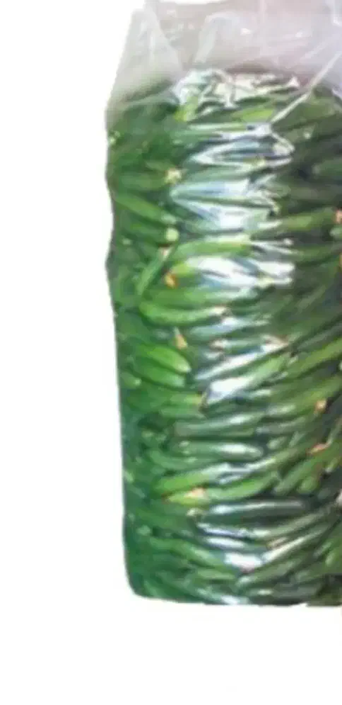 کشاورزی|خدمات باغبانی و درختکاری|کهنوج, |دیوار