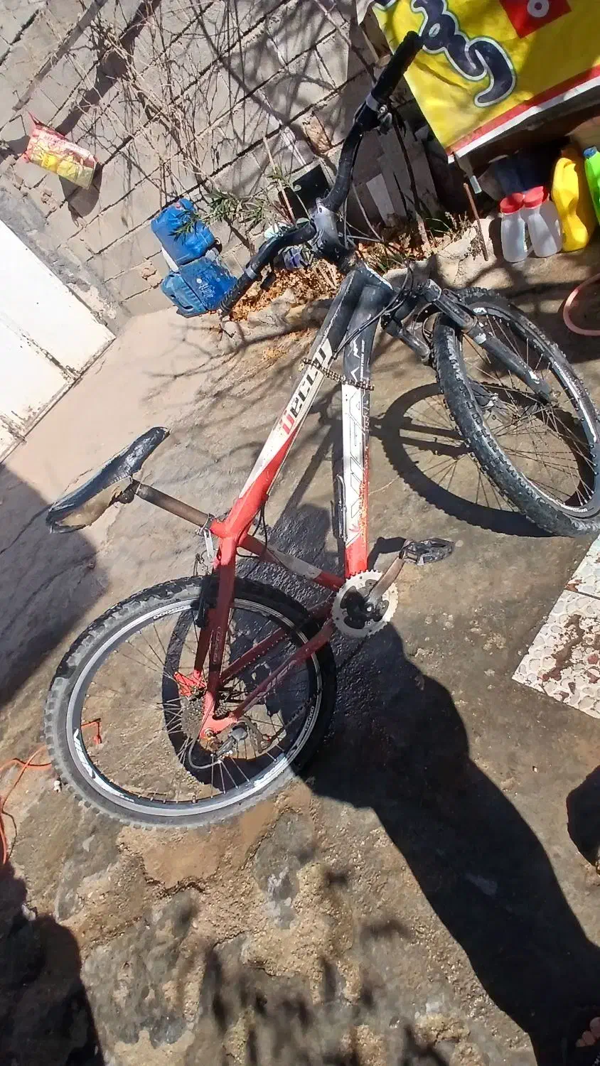 دوچرخه ۲۶|دوچرخه، اسکیت، اسکوتر|کوهنانی, |دیوار