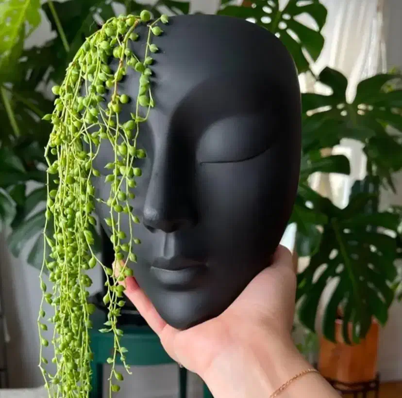 جذب اوپراتور لیزر با دستگاه|استخدام درمانی، زیبایی، بهداشتی|رشت, گلسار|دیوار