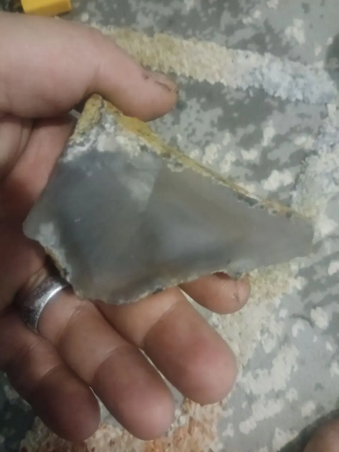 م حراج واقعی|حراج|قم, طلاب غیر ایرانی|دیوار