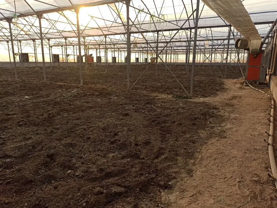 ۲۱۰۰۰متر چهاردیواری۷۰۰۰مترگلخونه هیدروپونیک کهریزک|فروش دفتر صنعتی، کشاورزی، تجاری|کهریزک, |دیوار