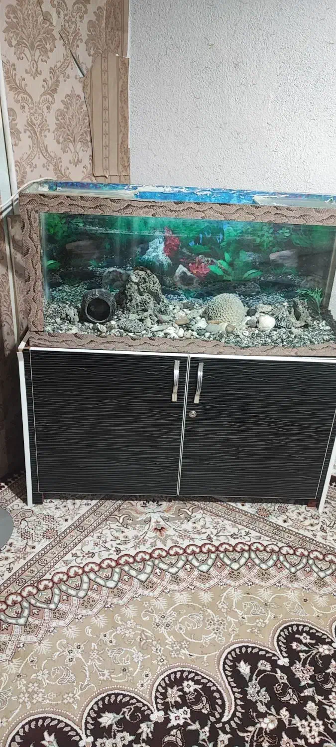 آکواریوم با لوازم|ماهی|خرم‌آباد, |دیوار
