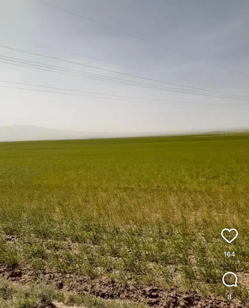 زمین کشاورزی ۳ هکتار روستای چلان سفلی|فروش زمین و ملک کلنگی|سراجو, |دیوار