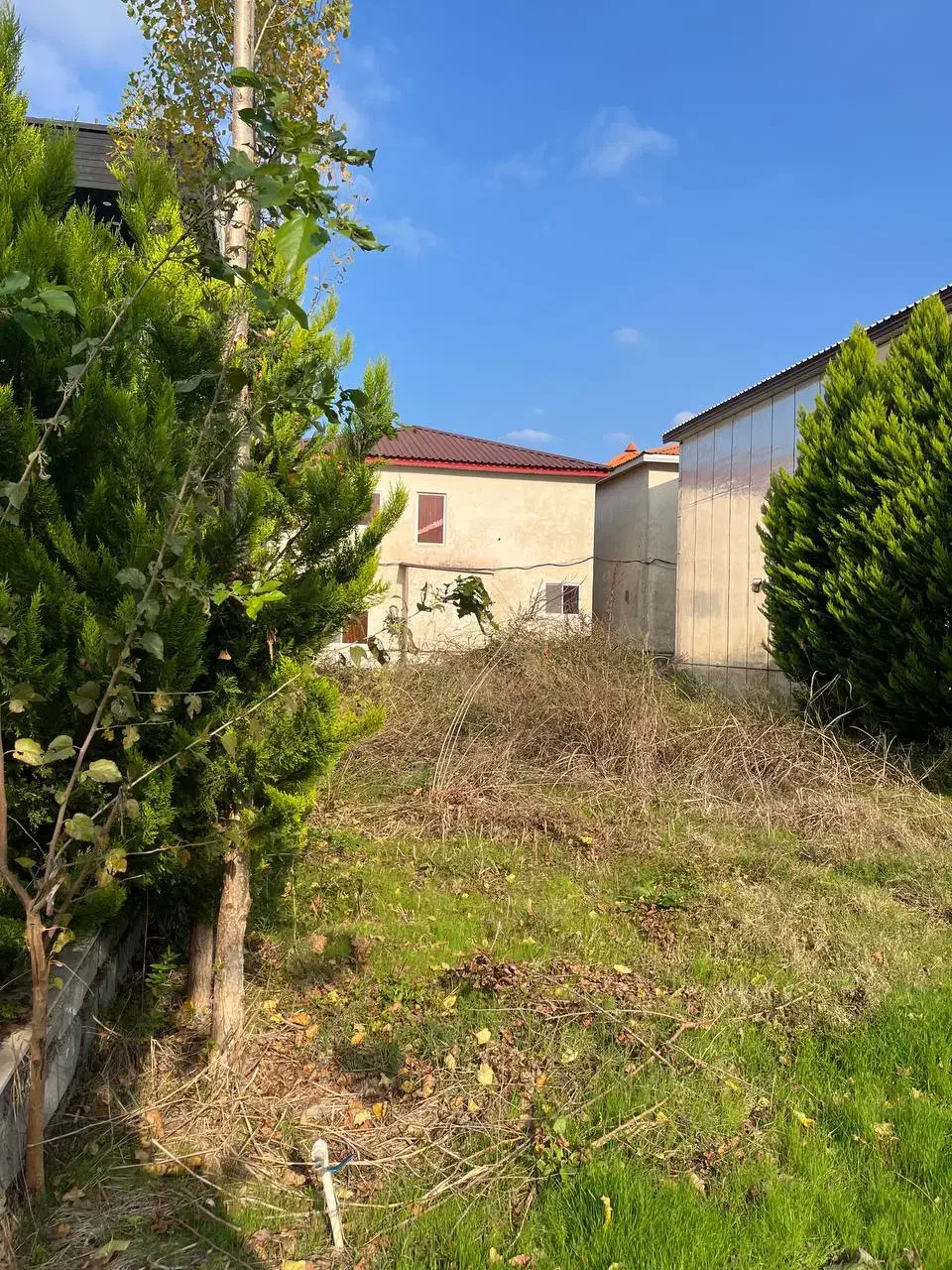 ۲۳۰mداخل بافت مسکونی با اصالت/مدارک کامل ۶۰۰میلیون|فروش زمین و ملک کلنگی|امامزاده عبدالله, |دیوار