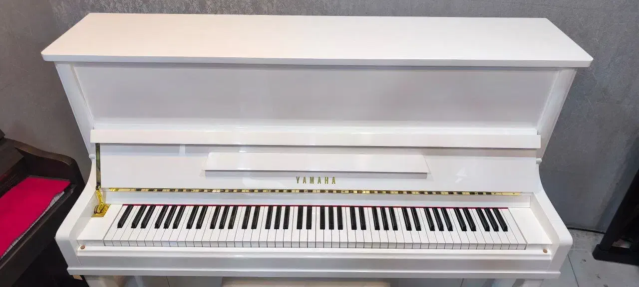 پیانو پرتابل p225 white|پیانو، کیبورد، آکاردئون|ارومیه, |دیوار