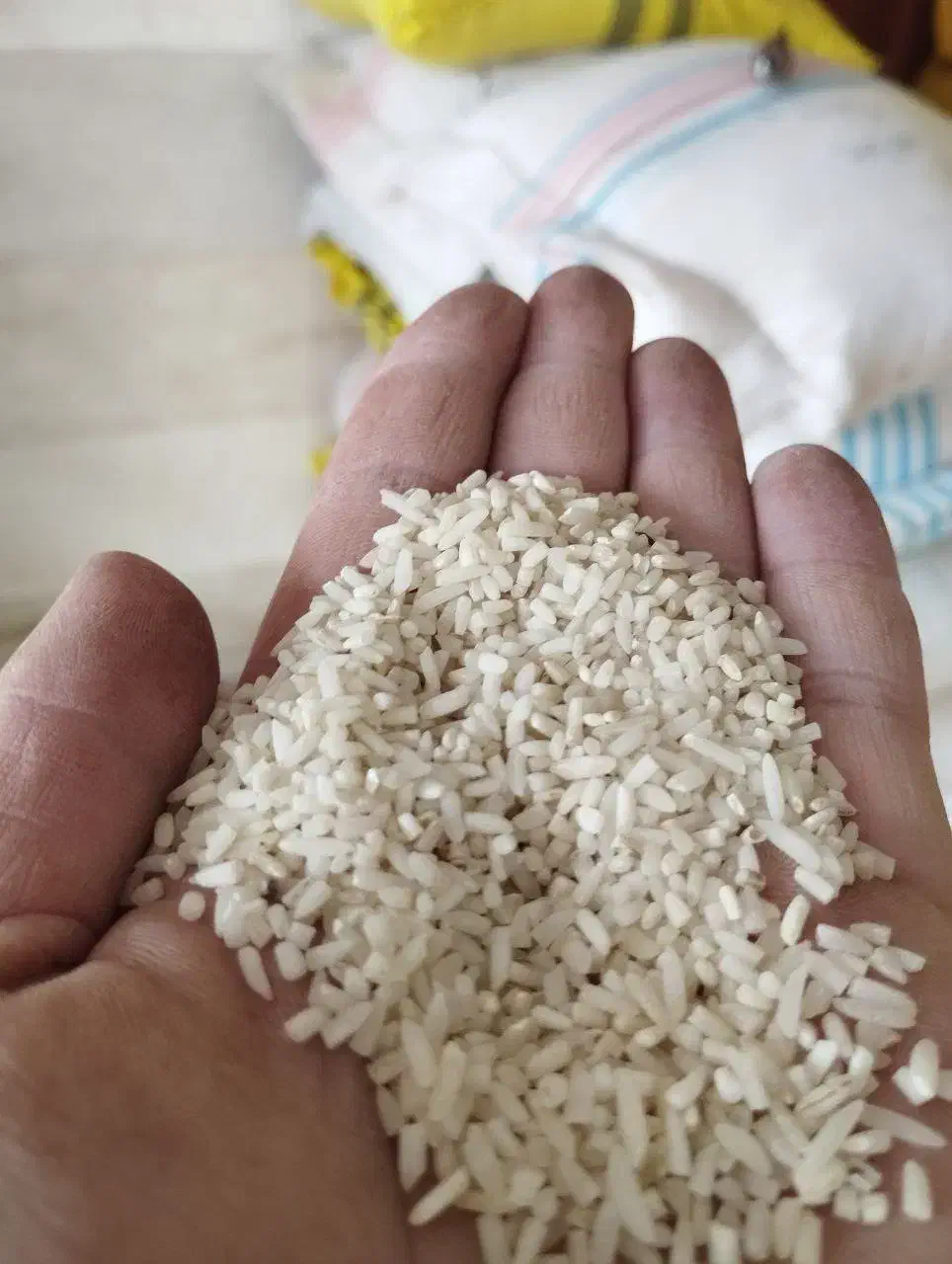 سرلاشه طارم هاشمی فوق العاده|خوردنی و آشامیدنی|هادی شهر, |دیوار