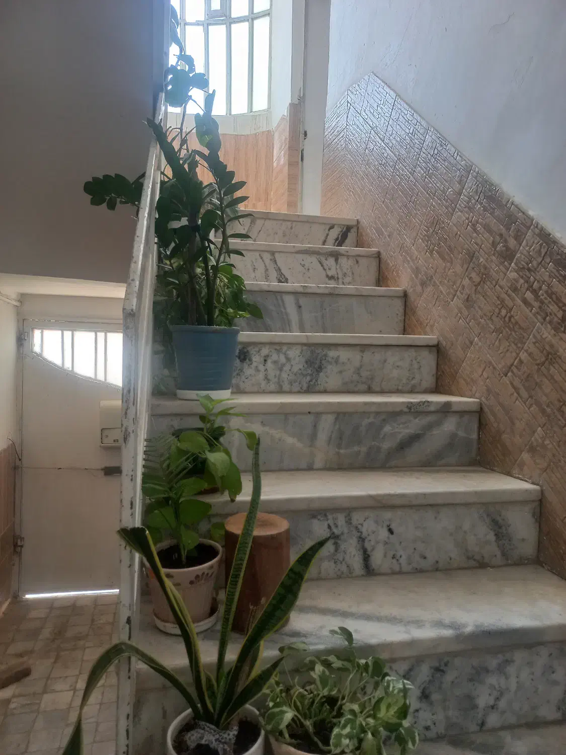 سوییت ۵۰ متری فاز۵ .بلوار جاویدی. کوچه ۱۳|اجارهٔ آپارتمان|فسا, |دیوار