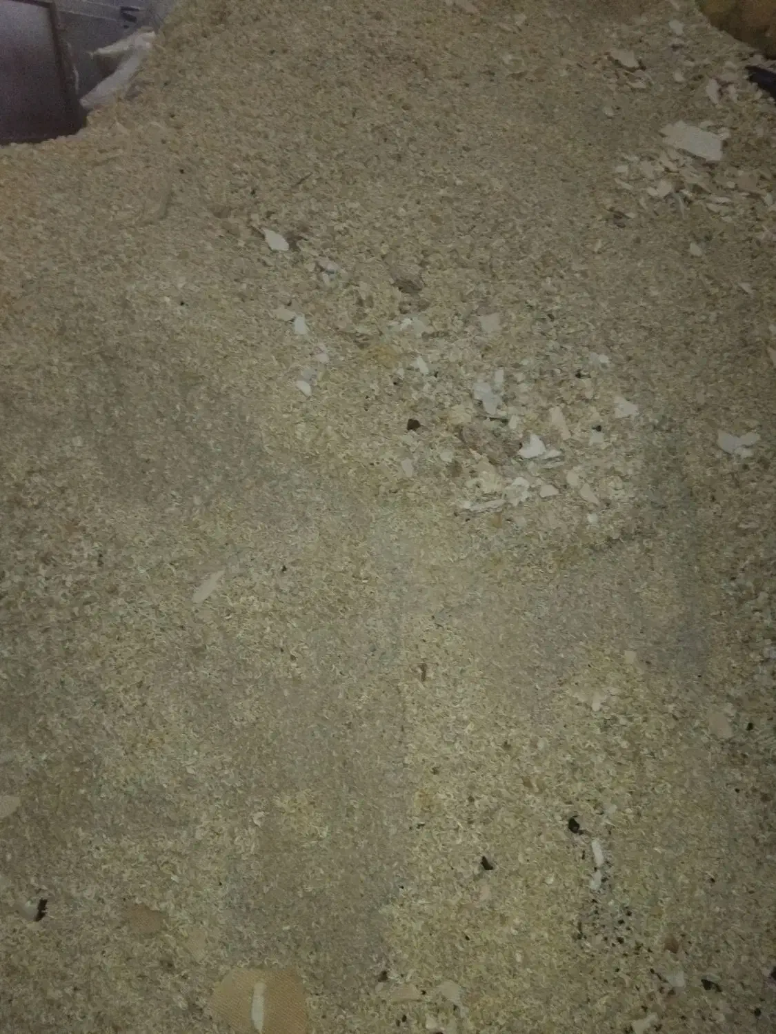 خوراک دام و طیور|عمدهفروشی|صائین قلعه, |دیوار