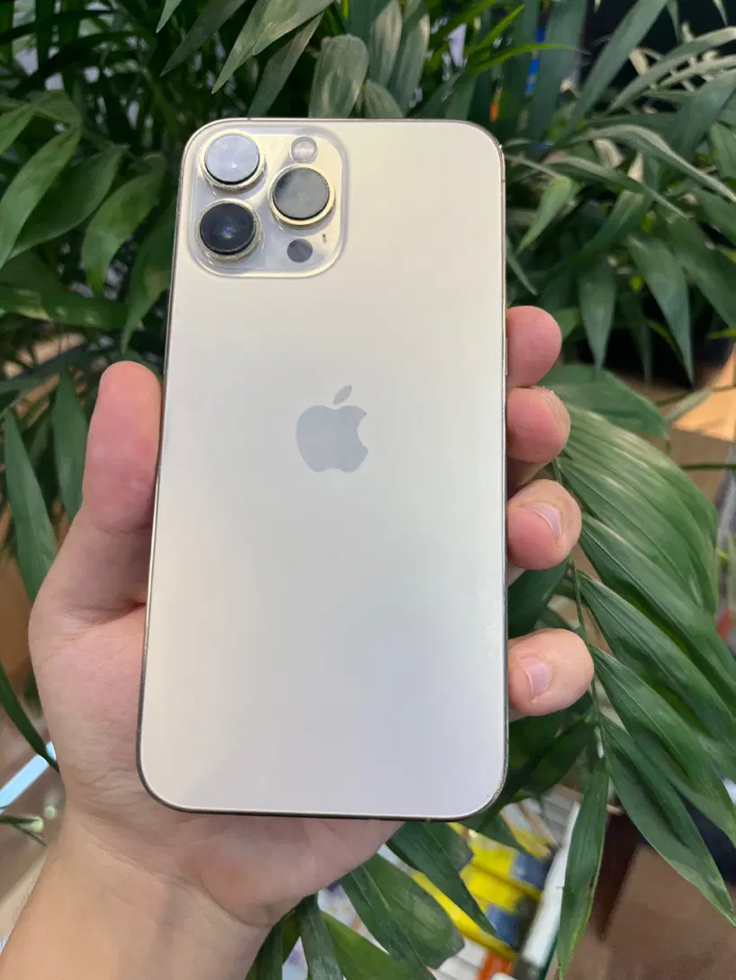 iPhone 13promax|موبایل|تهران, تهرانپارس جنوبی|دیوار