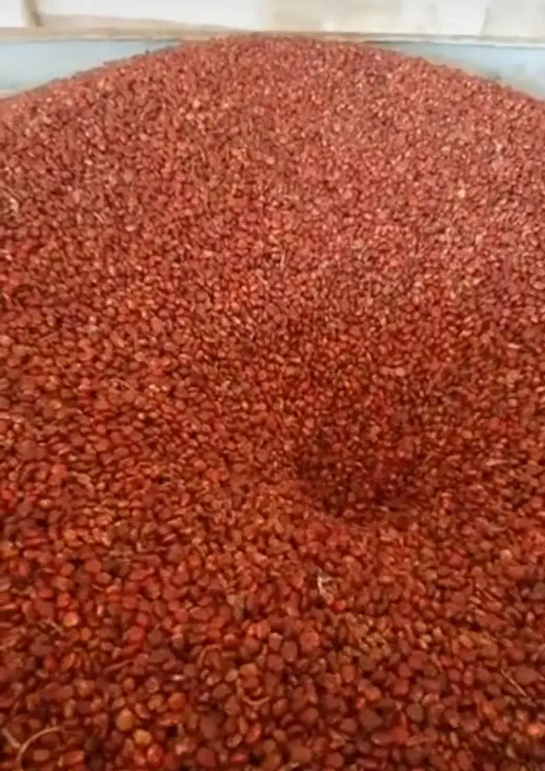 سماق قاراداغ|خوردنی و آشامیدنی|هوراند, |دیوار