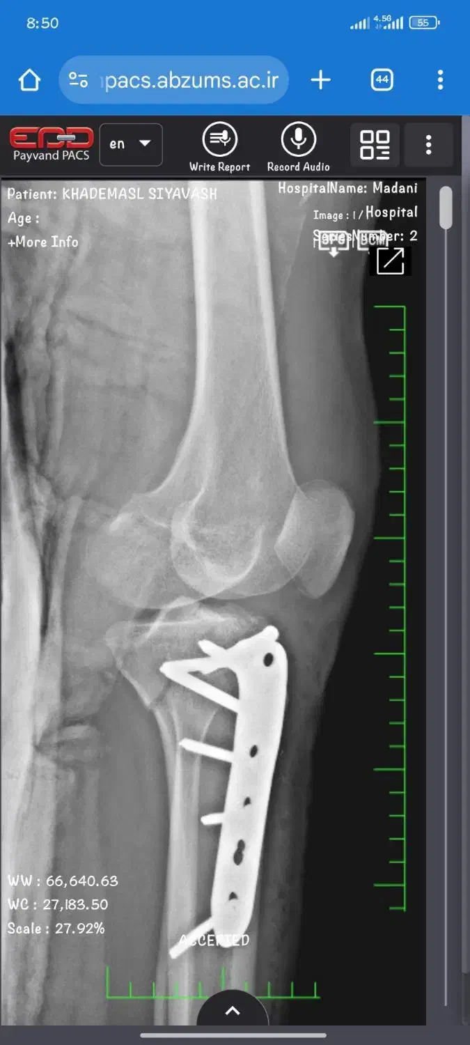راهنمایی شغلی|فعالیت داوطلبانه تحقیقاتی|کرج, کرج نو|دیوار