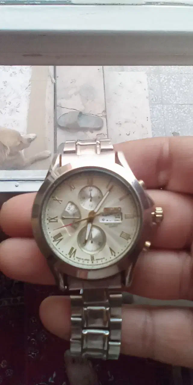 ساعت سیکوژاپن اصل|ساعت|قم, تولید دارو و یخچال|دیوار