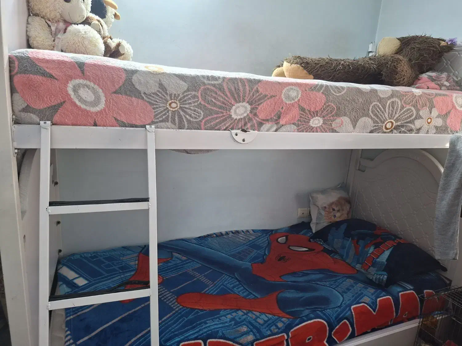 تخت دو طبقه|تخت و سرویس خواب|فردیس, سرحد آباد|دیوار