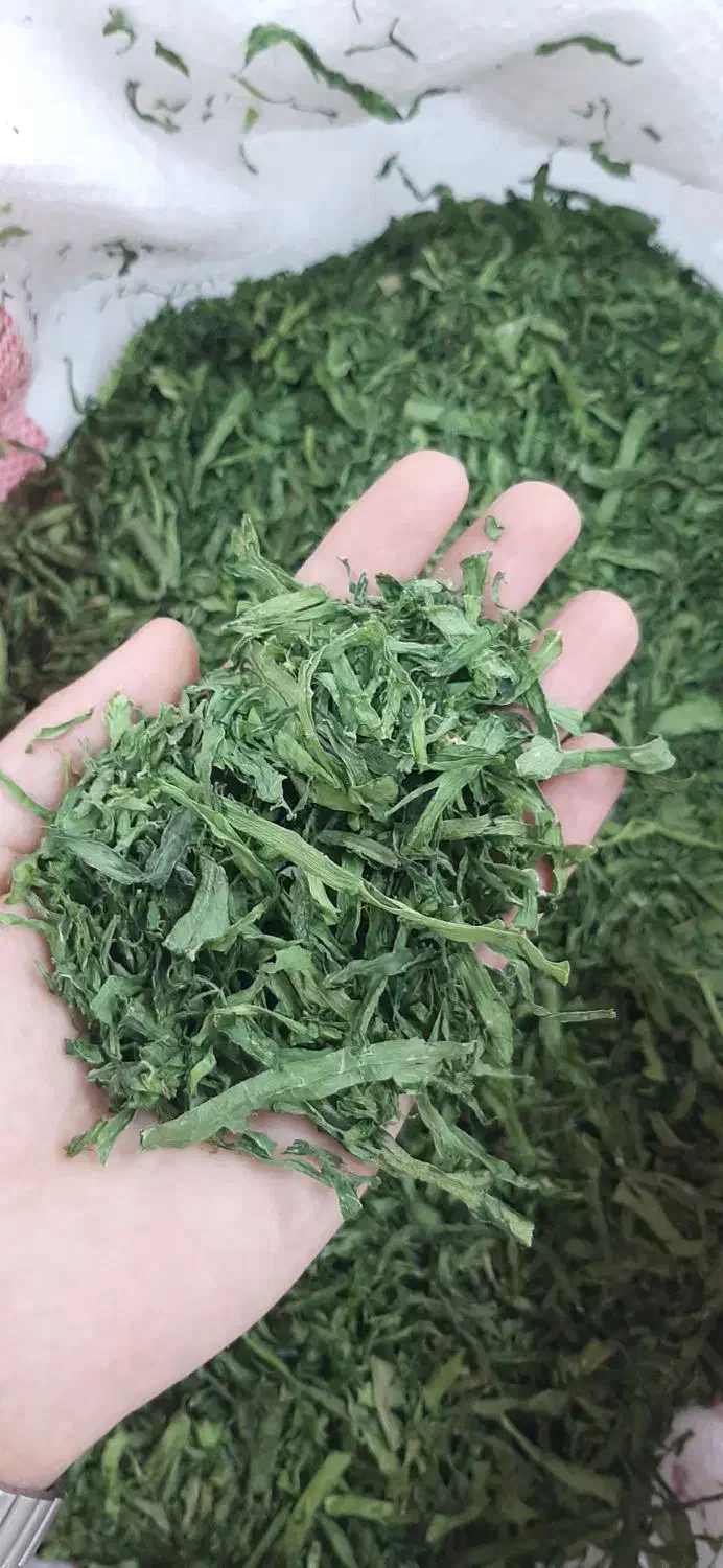 تره خشک معطر|خوردنی و آشامیدنی|سبزوار, امیر کبیر|دیوار