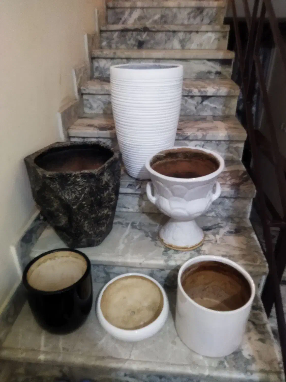 گل و گلدان سفالی|گل و گیاه طبیعی|مشهد, مشکینی (شهرک غرب)|دیوار