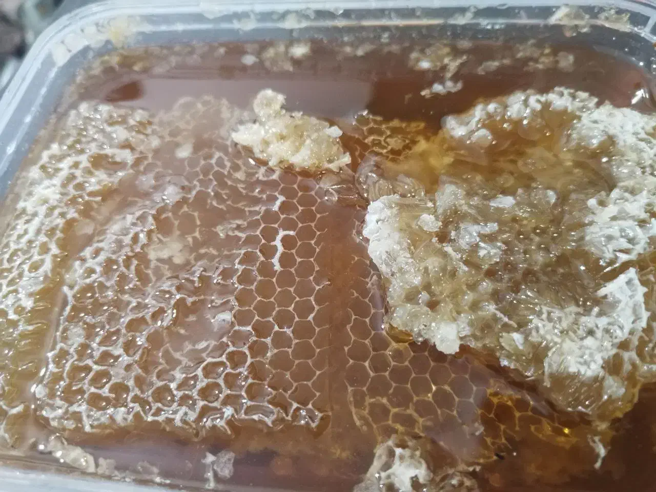 ژل رویال|خوردنی و آشامیدنی|قم, بلوار امین و ساحلی|دیوار