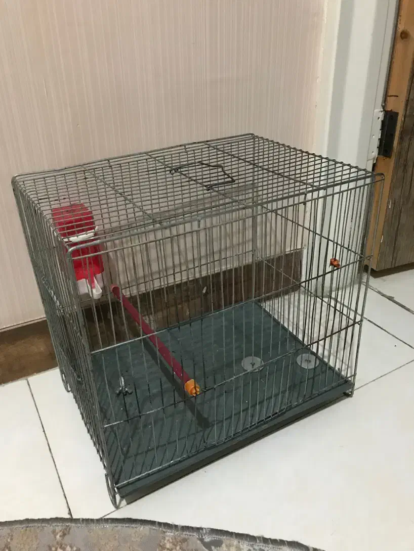 قفس پرنده های خونگی سالم با جای دون خوری و جای اب|لوازم جانبی حیوانات|کرج, گلشهر|دیوار