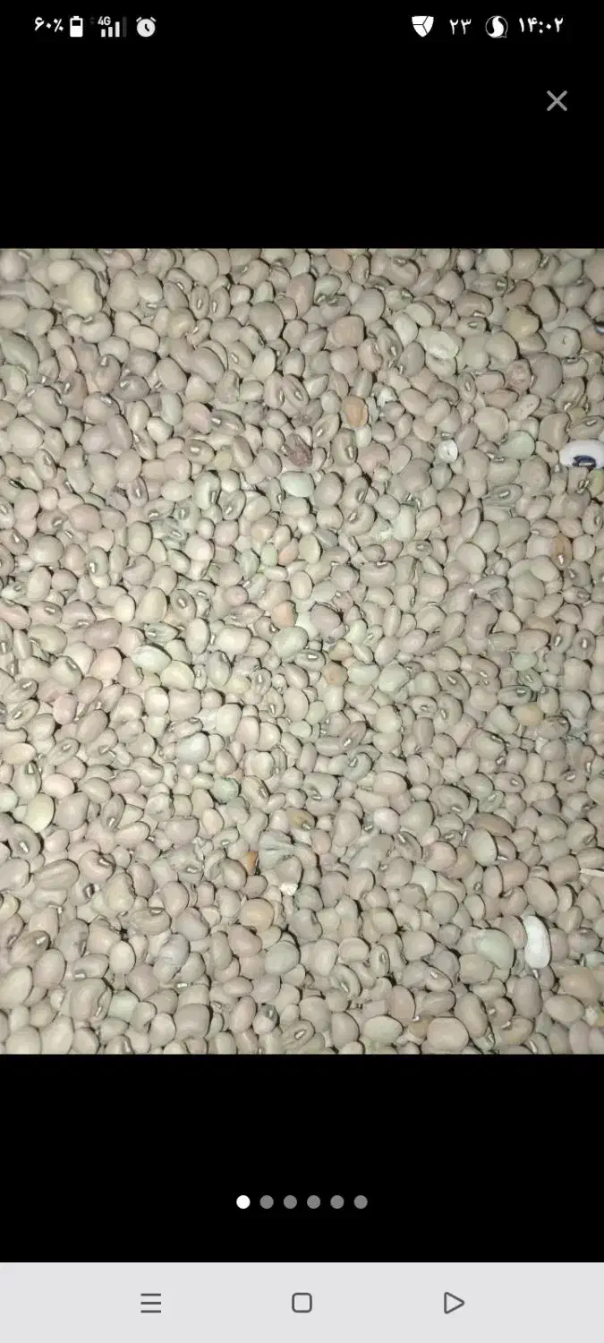 حبوبات|خوردنی و آشامیدنی|زهک, |دیوار