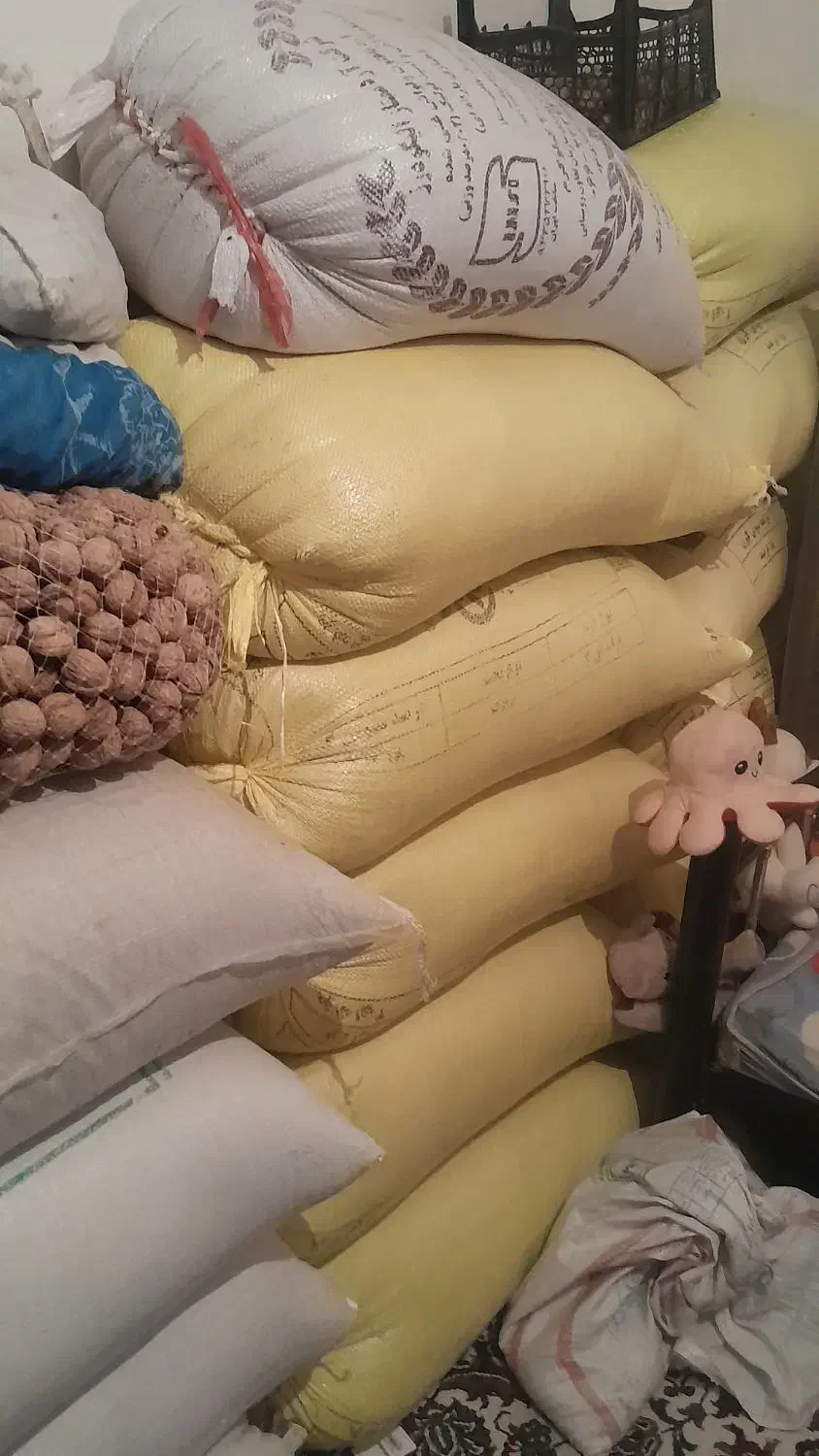 گندم|عمدهفروشی|اشترینان, |دیوار