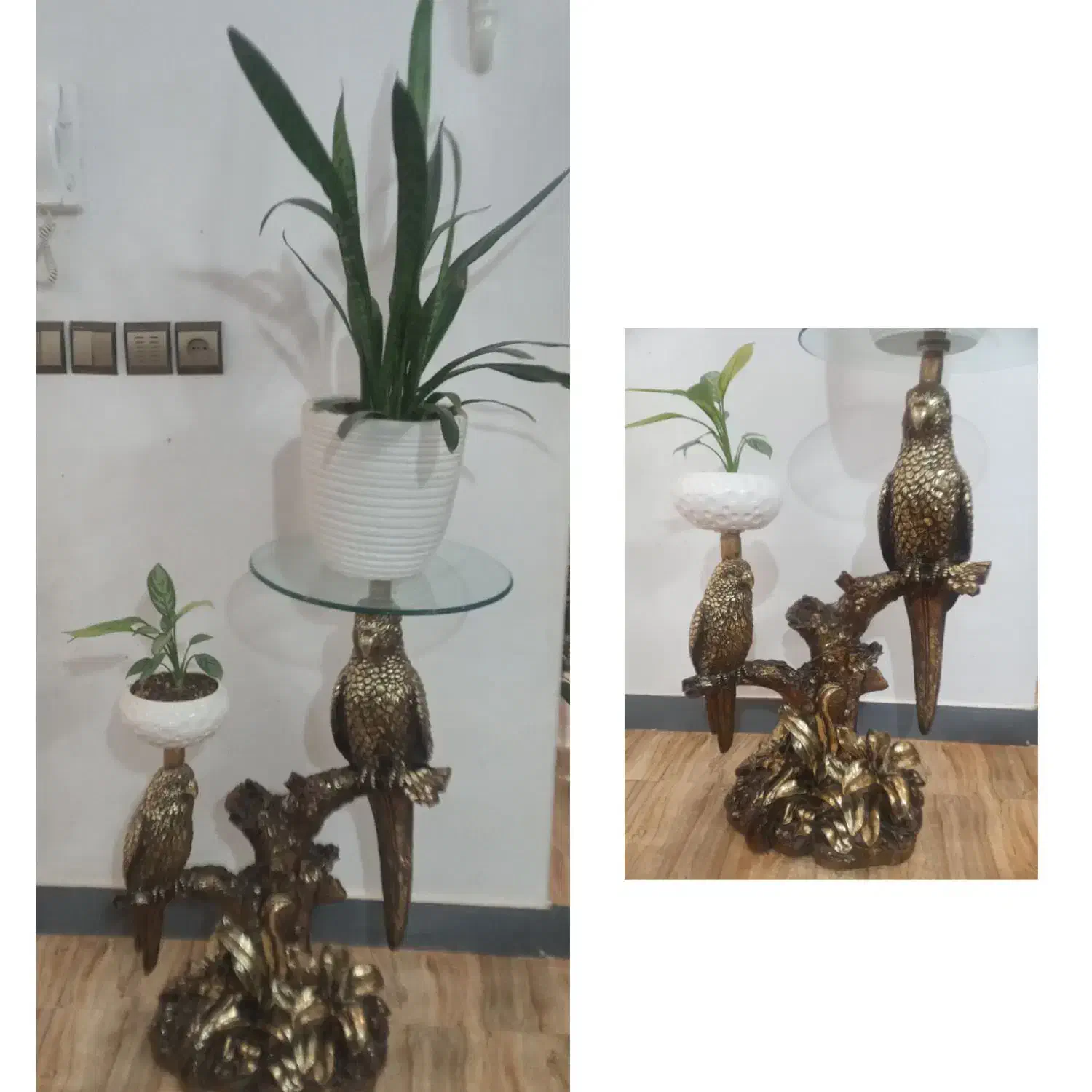 مجسمه طوطی|مجسمه، تندیس، ماکت|پاکدشت, حصار امیر|دیوار