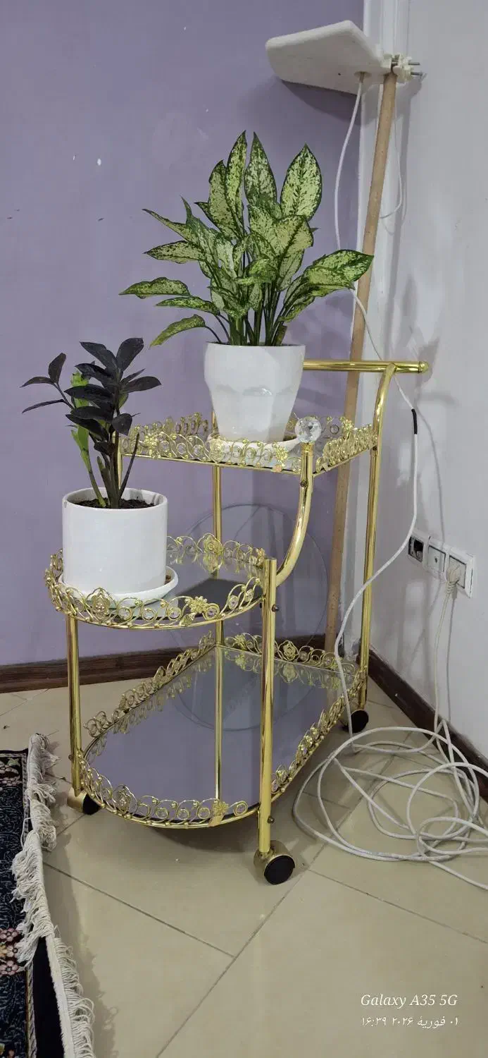 میزبار چشم دربیار|میز و صندلی غذاخوری|گلبهار, شهر جدید گلبهار|دیوار