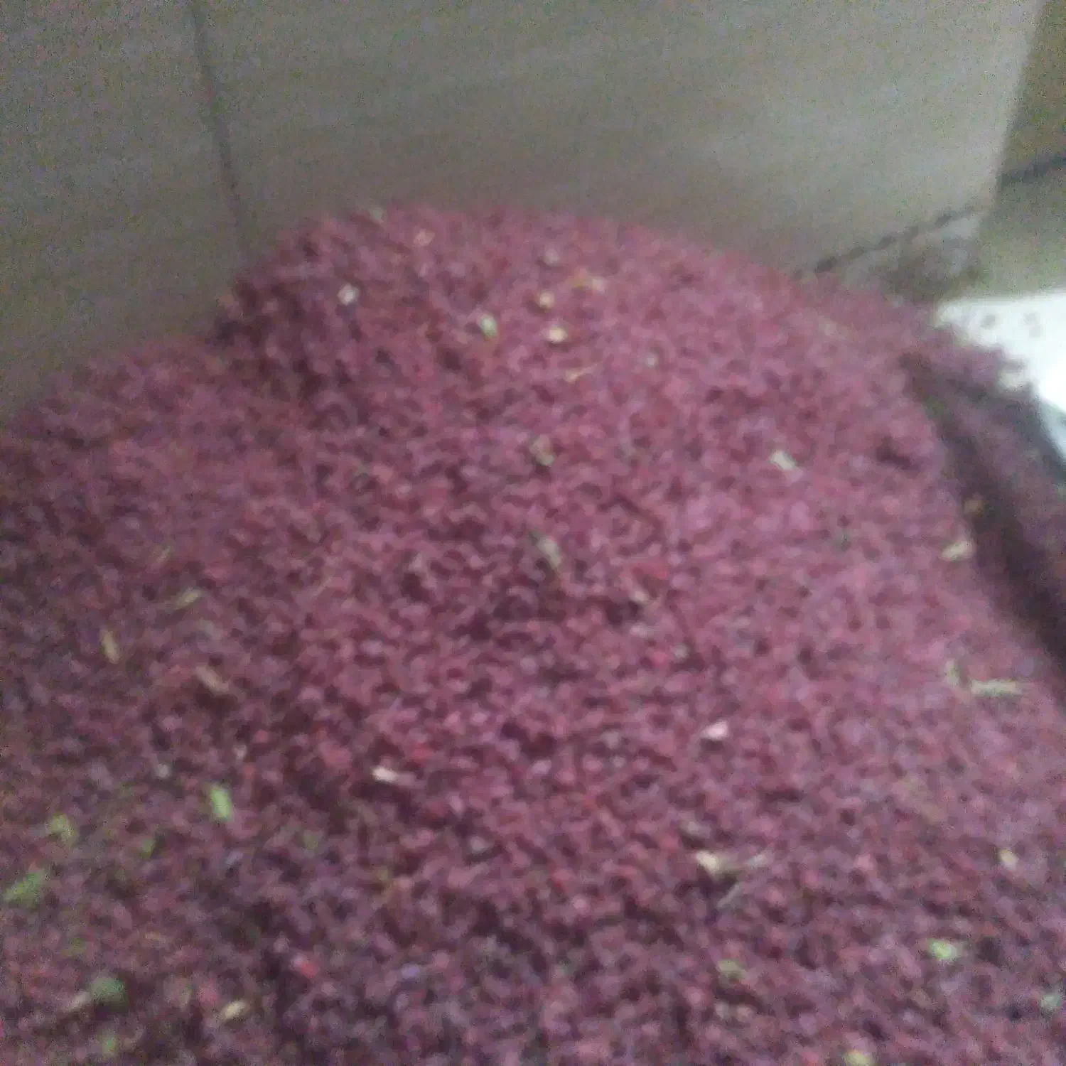 زرشک فروشی|عمده‌فروشی|درمیان, |دیوار