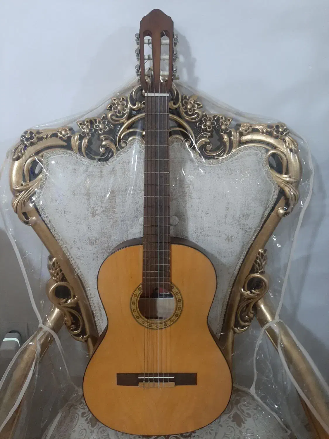 گیتار مدل Royal|گیتار، بیس، امپلیفایر|مشهد, کوی المهدی|دیوار