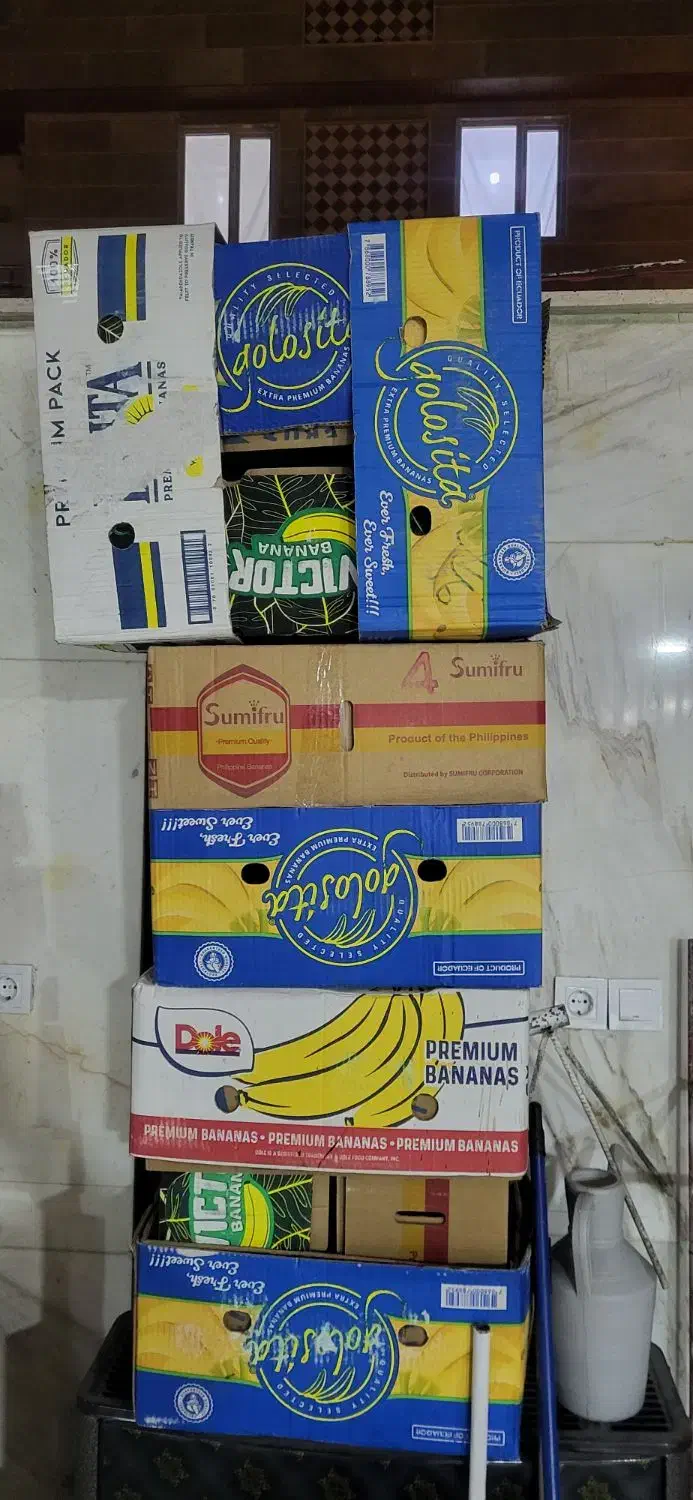 کارتن موزی|حراج|قروه, |دیوار