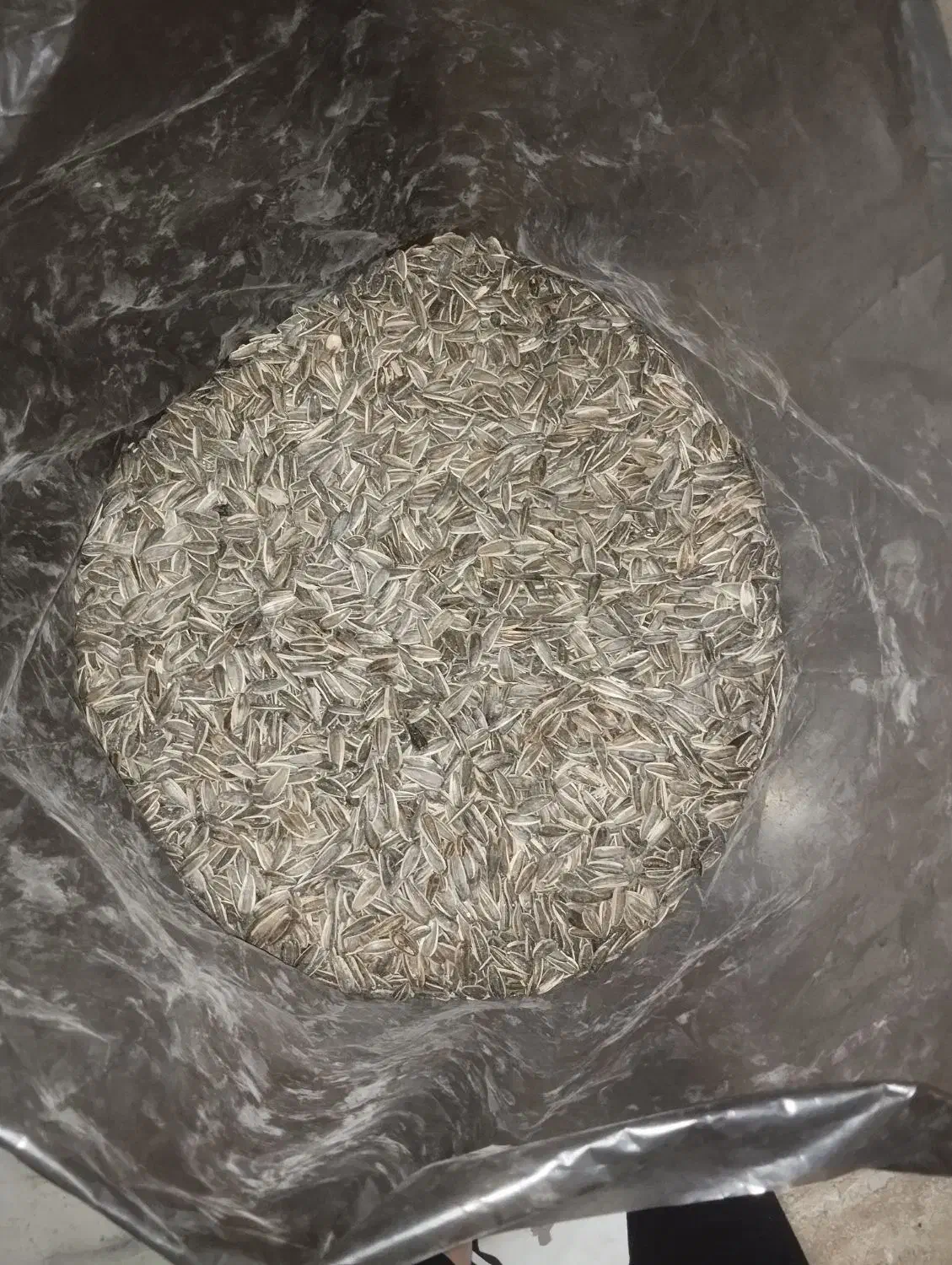 خوردنی|حراج|قم, شهید صیاد شیرازی|دیوار