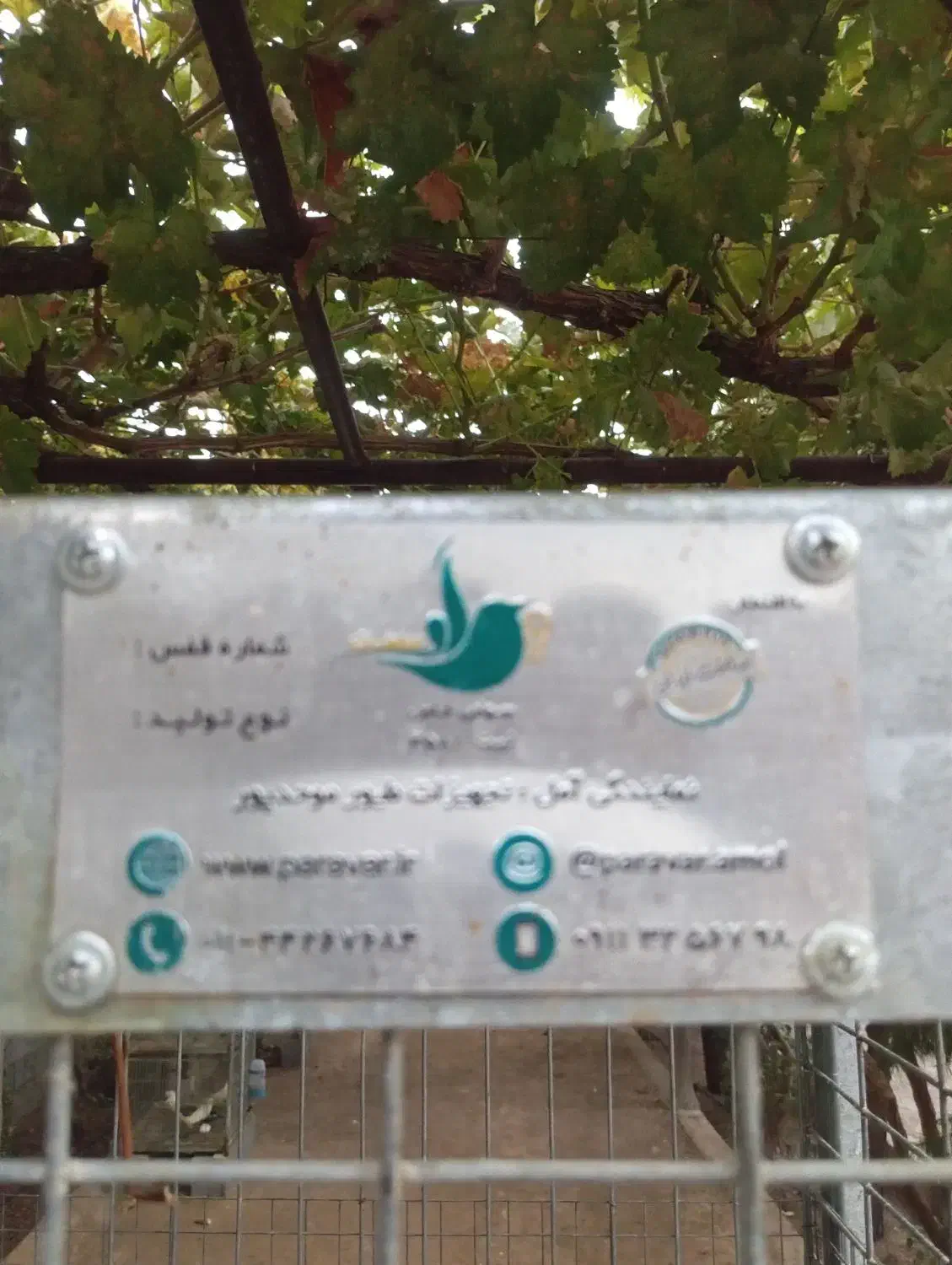 قفس پرنده (زرقان)|لوازم جانبی حیوانات|شیراز, کاراندیش|دیوار