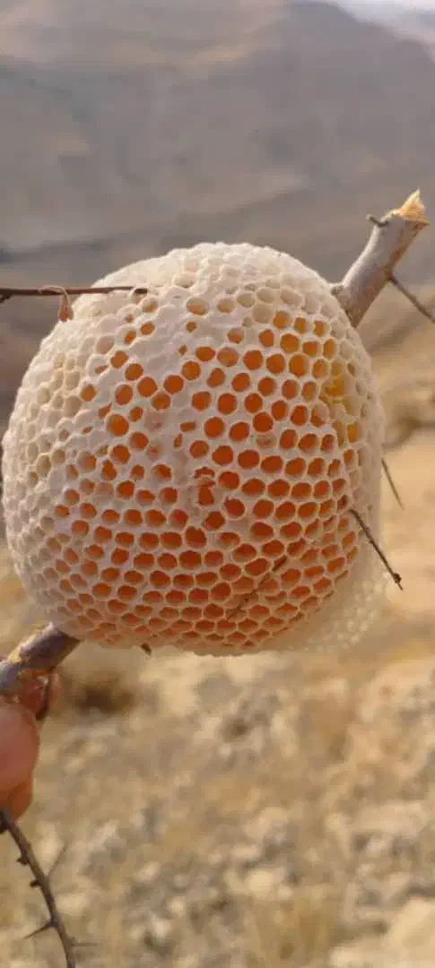 سیم09177373007|سیم‌کارت|دهدشت, |دیوار