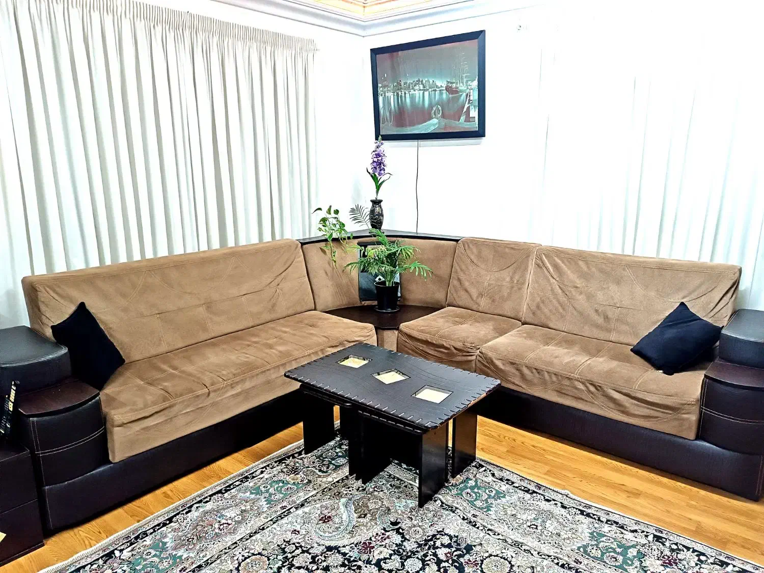 مبل|مبلمان خانگی و میز عسلی|رشت, کاکتوس|دیوار